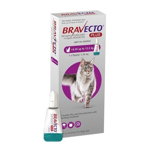 Bravecto Topical Spot-On - 3 Month Flea & Tick Protection - For Large Cats 6.25-12.5kg - Default Title - Pest Control Treatment - Cat N Dog Shop