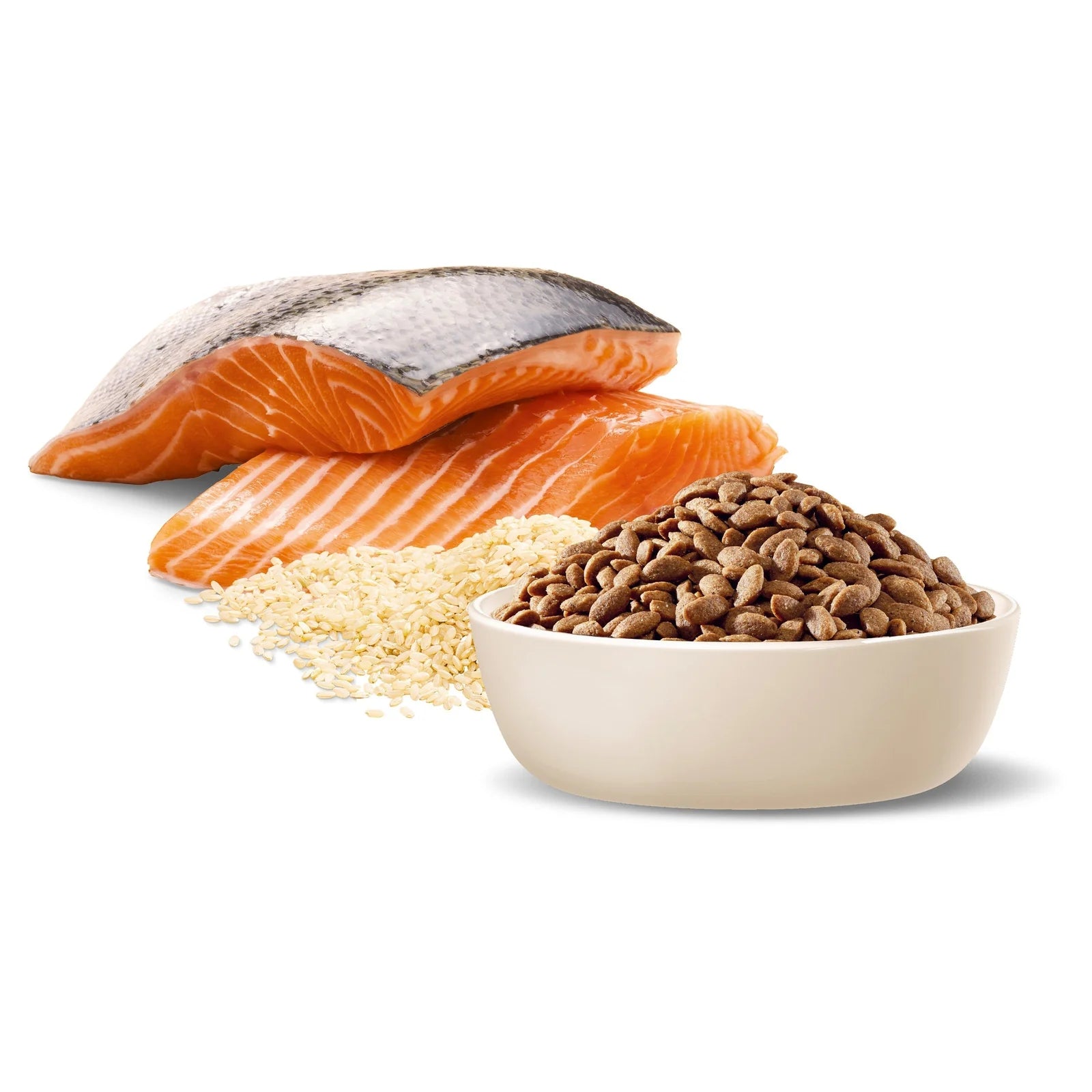 ADVANCE Oodles Adult Small Breed Dry Dog Food Kibble Salmon With Rice 2.5kg - 2.5kg - Dry Dog Food - Cat N Dog Shop