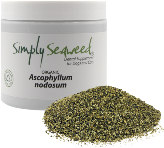 Simply Seaweed Dental Supplement for Dogs & Cats – 100% Organic Ascophyllum - 40g - Pet Supplement - Cat N Dog Shop