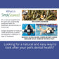 Simply Seaweed Dental Supplement for Dogs & Cats – 100% Organic Ascophyllum - 40g - Pet Supplement - Cat N Dog Shop
