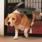 Transcat Large Clear Dog Door for Glass or Wood - 4 Way Lock NZ Made - Default Title - Pet Door - Cat N Dog Shop