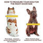 Transcat Large Clear Dog Door for Glass or Wood - 4 Way Lock NZ Made - Default Title - Pet Door - Cat N Dog Shop