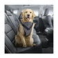 XL Dog Harness 2 in 1 Combo with No Pull Leash for Safe Travel and Walks - Default Title - Pet Care > Cat Supplies > Cat Carriers & Crates - Cat N Dog Shop