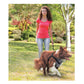 S Dog Harness 2 in 1 Combo for Safe Car Travel and Walking