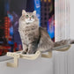 Wooden Frame Wall-Mounted Cat Hammock Bed for Space-Saving Comfort - Default Title - Pet Care > Cat Supplies > Cat Furniture - Cat N Dog Shop