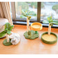 Faux Leaf Cat Tree with Cozy Bed for Playful Kittens - Default Title - Pet Care > Cat Supplies > Cat Furniture - Cat N Dog Shop