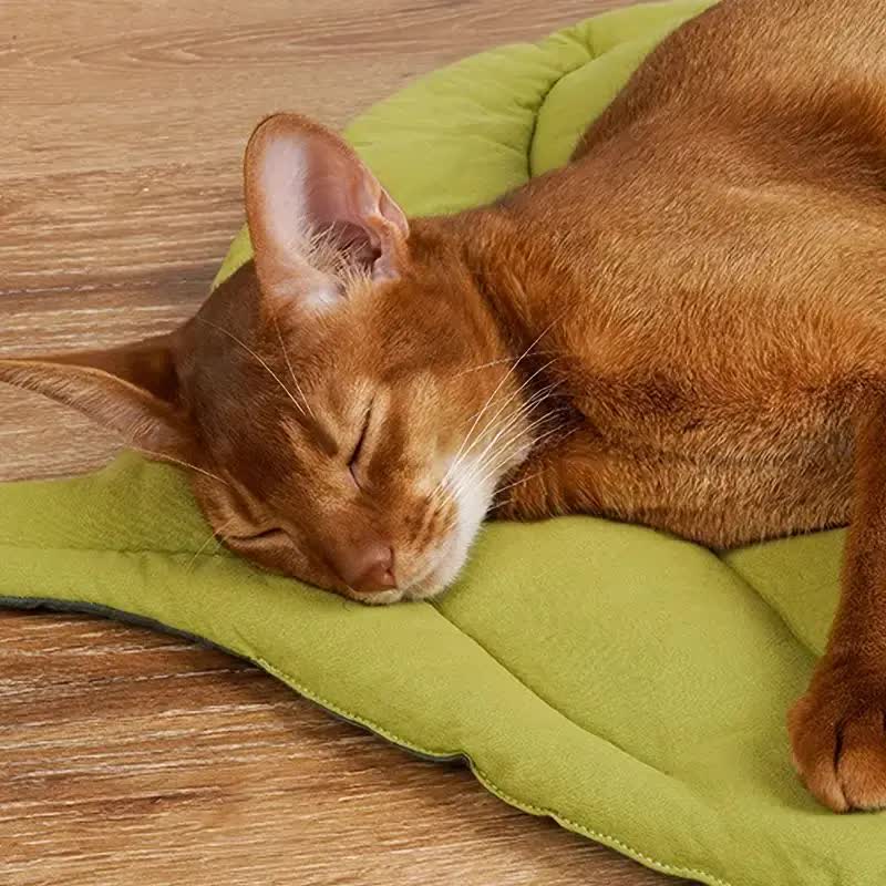 Leaf-Shaped Pet Sleeping Mat - Durable Dog Pad & Cat Bed for Comfort - Default Title - Pet Care > Cat Supplies > Cat Carriers & Crates - Cat N Dog Shop