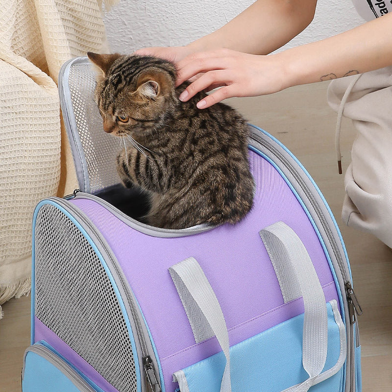 Blue And Purple Portable Pet Carrier Backpack - Spacious, Breathable, and Travel-Friendly for Cats and Small Dogs - Default Title - Pet Care > Cat Supplies > Cat Carriers & Crates - Cat N Dog Shop