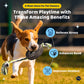 Durable Tire Rope Dog Toy for Dental Health and Playtime Fun - Default Title - Pet Care > Toys > Dog Toys - Cat N Dog Shop