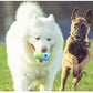 2 Pcs Green And Blue Interactive Pet Treat Dispensing Ball - Food-Grade Silicone Rolling Toy for Dogs with 1.5 cm Leakage Hole - Default Title - Pet Care > Toys > Dog Toys - Cat N Dog Shop