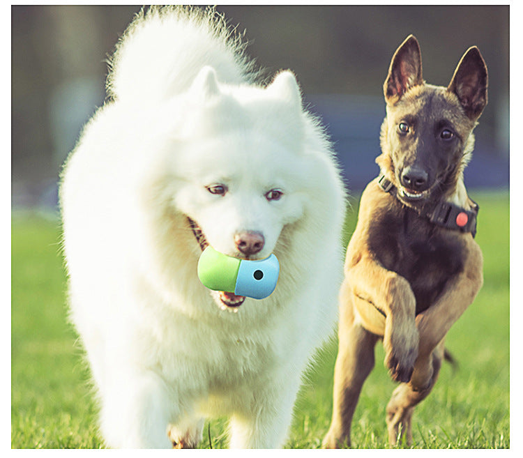 2 Pcs Green And Blue Interactive Pet Treat Dispensing Ball - Food-Grade Silicone Rolling Toy for Dogs with 1.5 cm Leakage Hole - Default Title - Pet Care > Toys > Dog Toys - Cat N Dog Shop