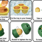 Green Ball and Yellow Mold Silicone Dog Chew Toy for Teeth Cleaning - Default Title - Pet Care > Toys > Dog Toys - Cat N Dog Shop