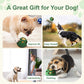Green Ball and Yellow Mold Silicone Dog Chew Toy for Teeth Cleaning - Default Title - Pet Care > Toys > Dog Toys - Cat N Dog Shop