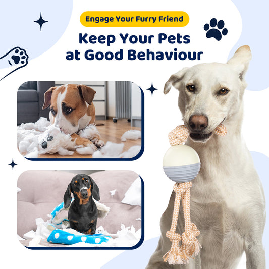 Durable Knot Rope and Ball Dog Toy for Interactive Chew and Tug Fun - Default Title - Pet Care > Toys > Dog Toys - Cat N Dog Shop