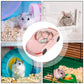 Blue Fun Hamster Racing Wheel Toy with Durable Design for Small Pets - Default Title - Pet Care > Toys > Cat Toys - Cat N Dog Shop