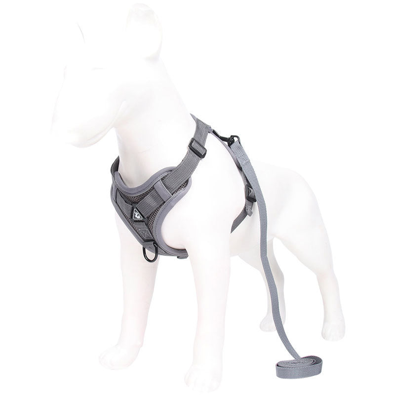 Grey Reflective Mesh Dog Harness and Leash Set for Safe Walks - M - Default Title - Pet Care > Dog Supplies > Dog Collars, Leads & Harnesses - Cat N Dog Shop