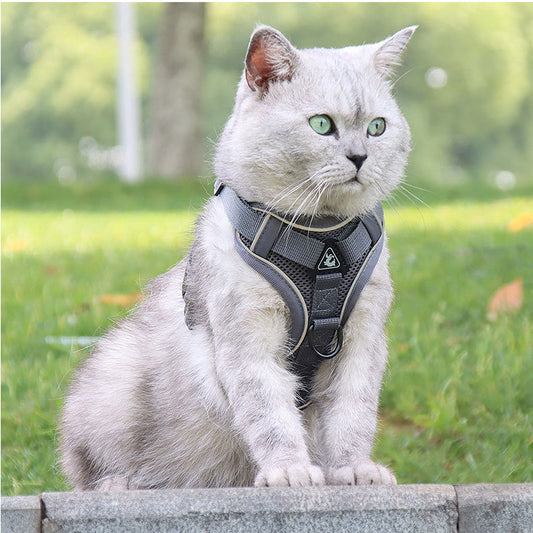 Grey Reflective Mesh Dog Harness and Leash Set for Safe Walks - L - Default Title - Pet Care > Dog Supplies > Dog Collars, Leads & Harnesses - Cat N Dog Shop
