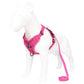 Grey Reflective Mesh Dog Harness and Leash Set for Safe Walks - L - Default Title - Pet Care > Dog Supplies > Dog Collars, Leads & Harnesses - Cat N Dog Shop