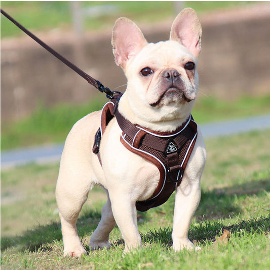 Brown Reflective Mesh Dog Harness and Leash Set - Adjustable No-Pull Vest - M - Default Title - Pet Care > Dog Supplies > Dog Collars, Leads & Harnesses - Cat N Dog Shop