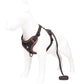 Brown Reflective Mesh Dog Harness and Leash Set - Adjustable No-Pull Vest - L - Default Title - Pet Care > Dog Supplies > Dog Collars, Leads & Harnesses - Cat N Dog Shop